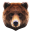 Wild_Bear