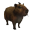 Kapibra