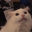 HappyCat