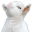 Moonyash