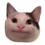 Пополнение на корабле Пополнение на корабле