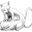 Ainonia