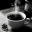 Puer