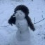 [Орден Щита] Всё для народа, в любое время года