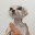 Fennec69