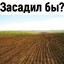 Как ночные эльфы урожай собирали... [1/5]